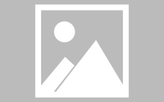 白沙信息网页设计（信息型网页）